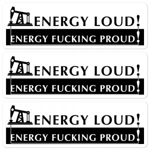 Energy Loud Energy Fucking Proud Bubble-free stickers